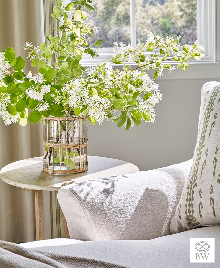 Beth Webb Interiors TS Adams Studio