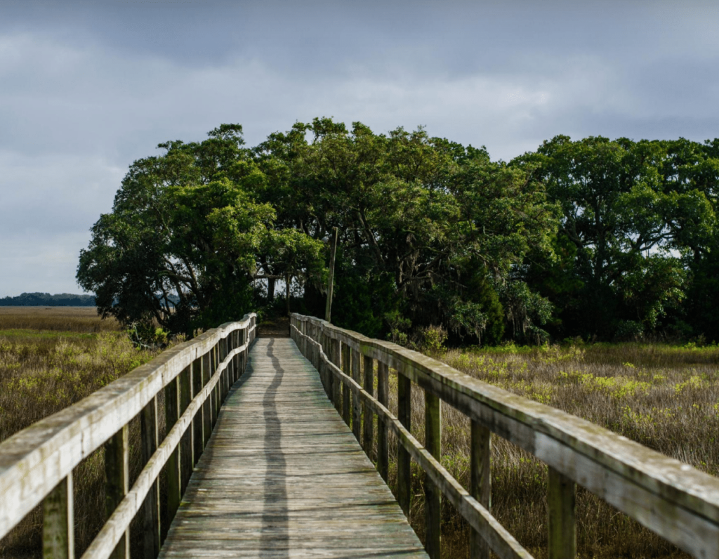 Isle of Palms | Rose & Ivy | Alison Engstrom Photography - greens - boardwalk