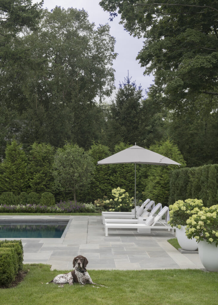 Jane Beiles-Photography Morgan Harrison Design pool with chaise lounge