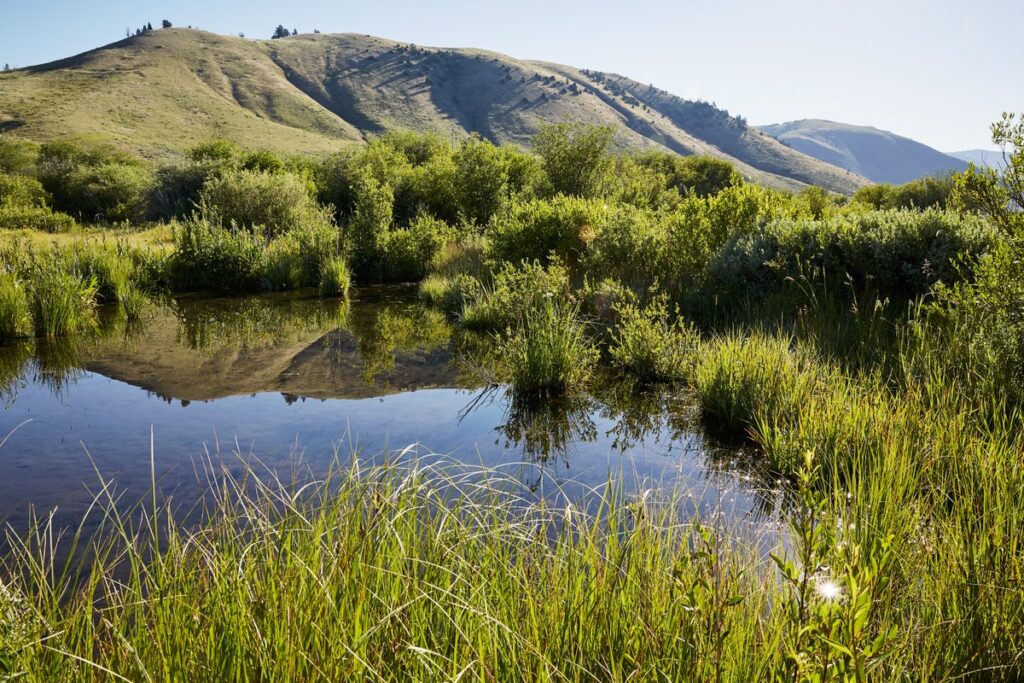 wyoming view
