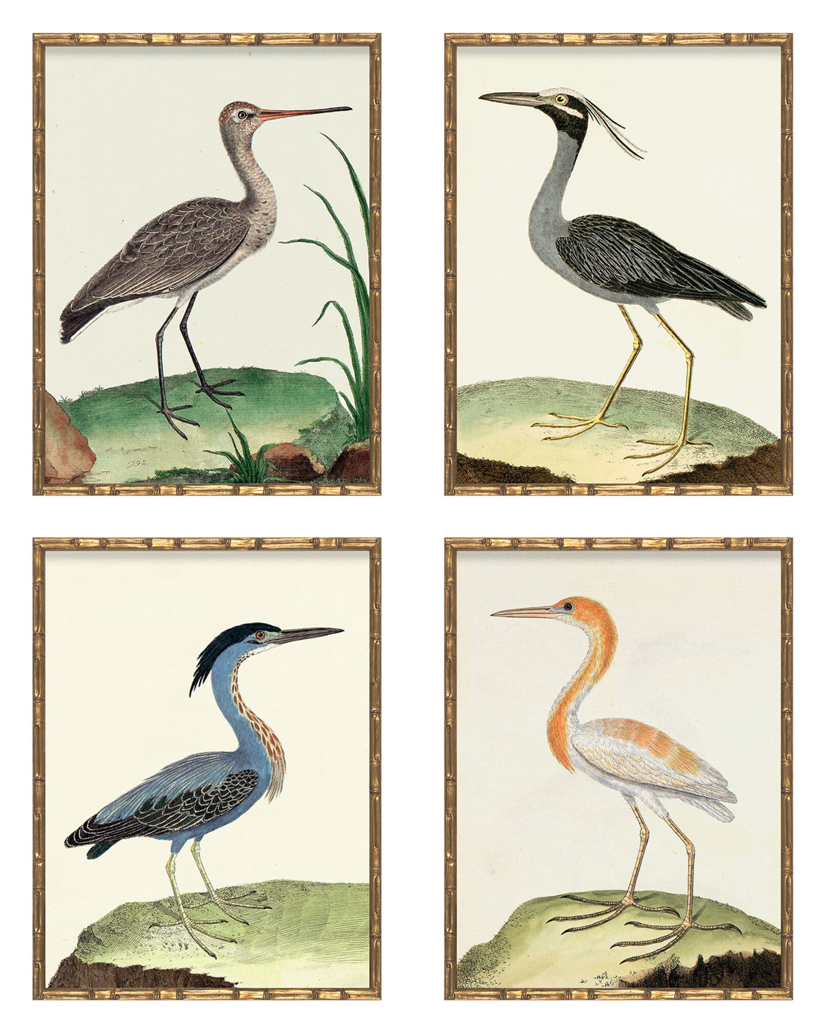 Vintage Birds in Bamboo Frame- Serena & Lily