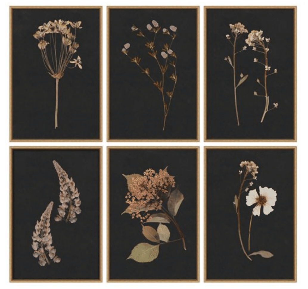 Lauren Liess Botanical Set