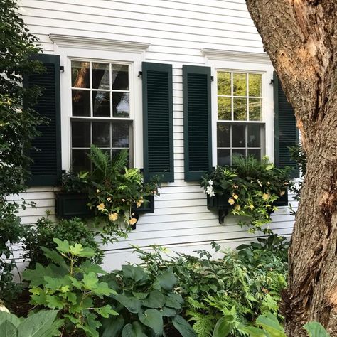 Martha's Vineyard White Clapboard home photographed by @housetouring