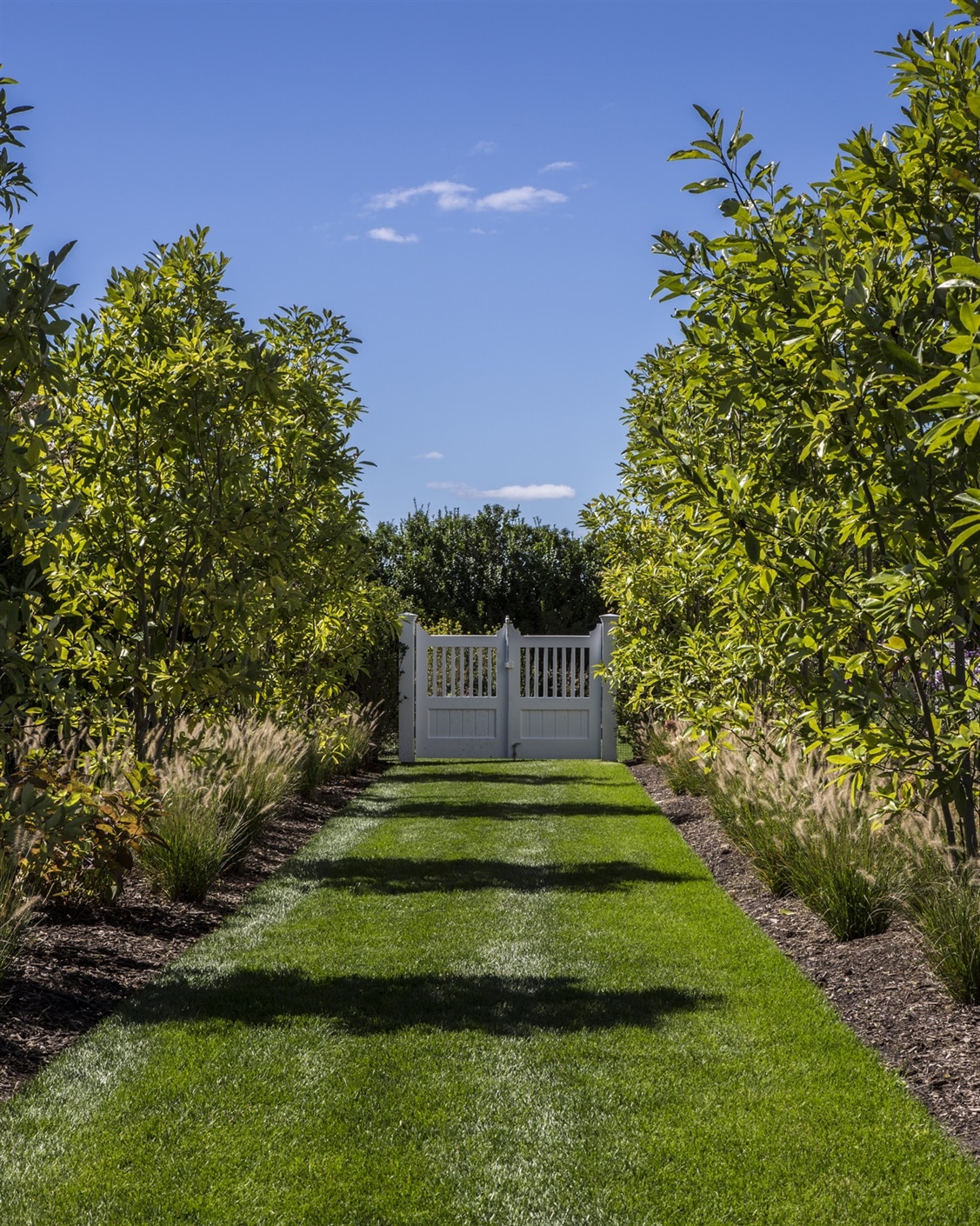 Brady Design | Marco Ricca Photography garden