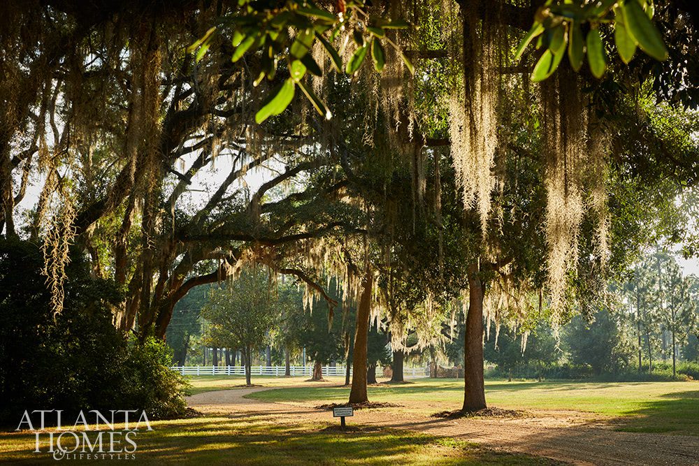 House Tour: Historic in Albany, Georgia - Atlanta Homes & Lifestyles - Magazine -INTERIOR DESIGN Susan Lapelle, Lapelle Interiors | LANDSCAPE DESIGN: Carson McElheney Landscape Architecture & Design | PHOTOGRAPHY: Emily Followill Photography | curb appeal - columns - landscaping - garden design