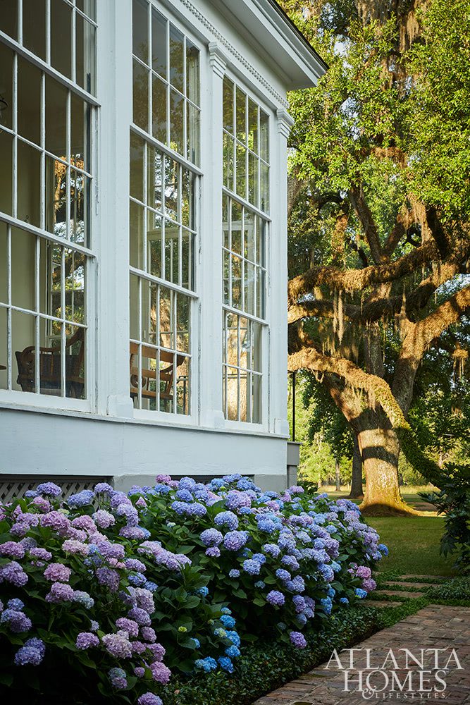 House Tour: Historic in Albany, Georgia - Atlanta Homes & Lifestyles - Magazine -INTERIOR DESIGN Susan Lapelle, Lapelle Interiors | LANDSCAPE DESIGN: Carson McElheney Landscape Architecture & Design | PHOTOGRAPHY: Emily Followill Photography | curb appeal - columns - landscaping - garden design