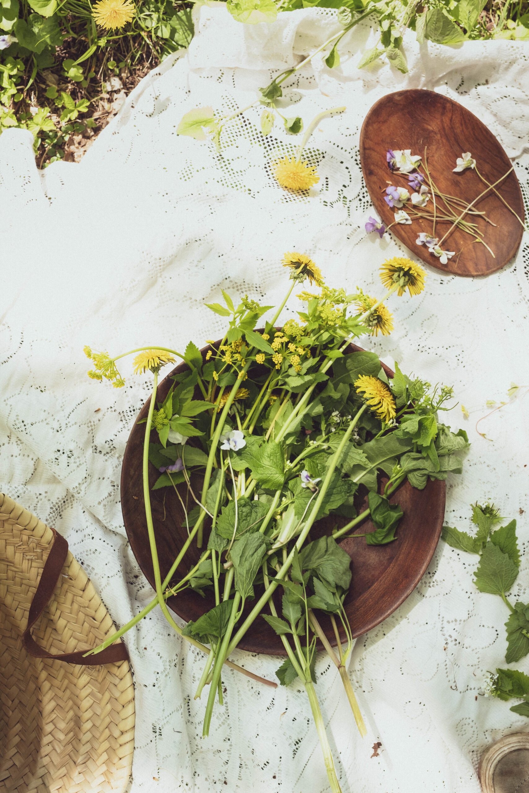 Alison Engstrom Photography - Rose & Ivy - wild plants to eat - reimagined