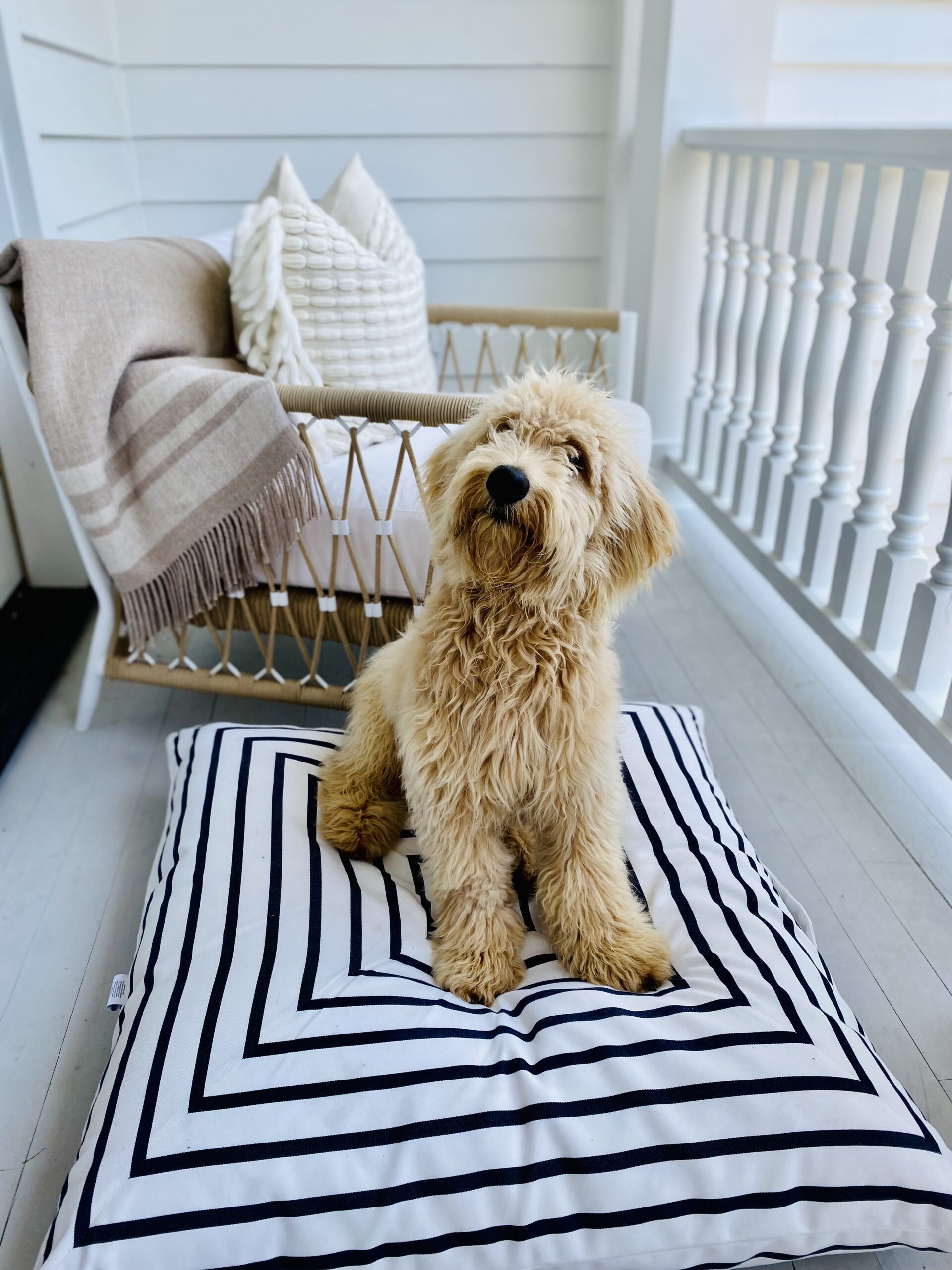 outdoor living - Serena & Lily - - porch - living room - outdoor living room - covered porch
