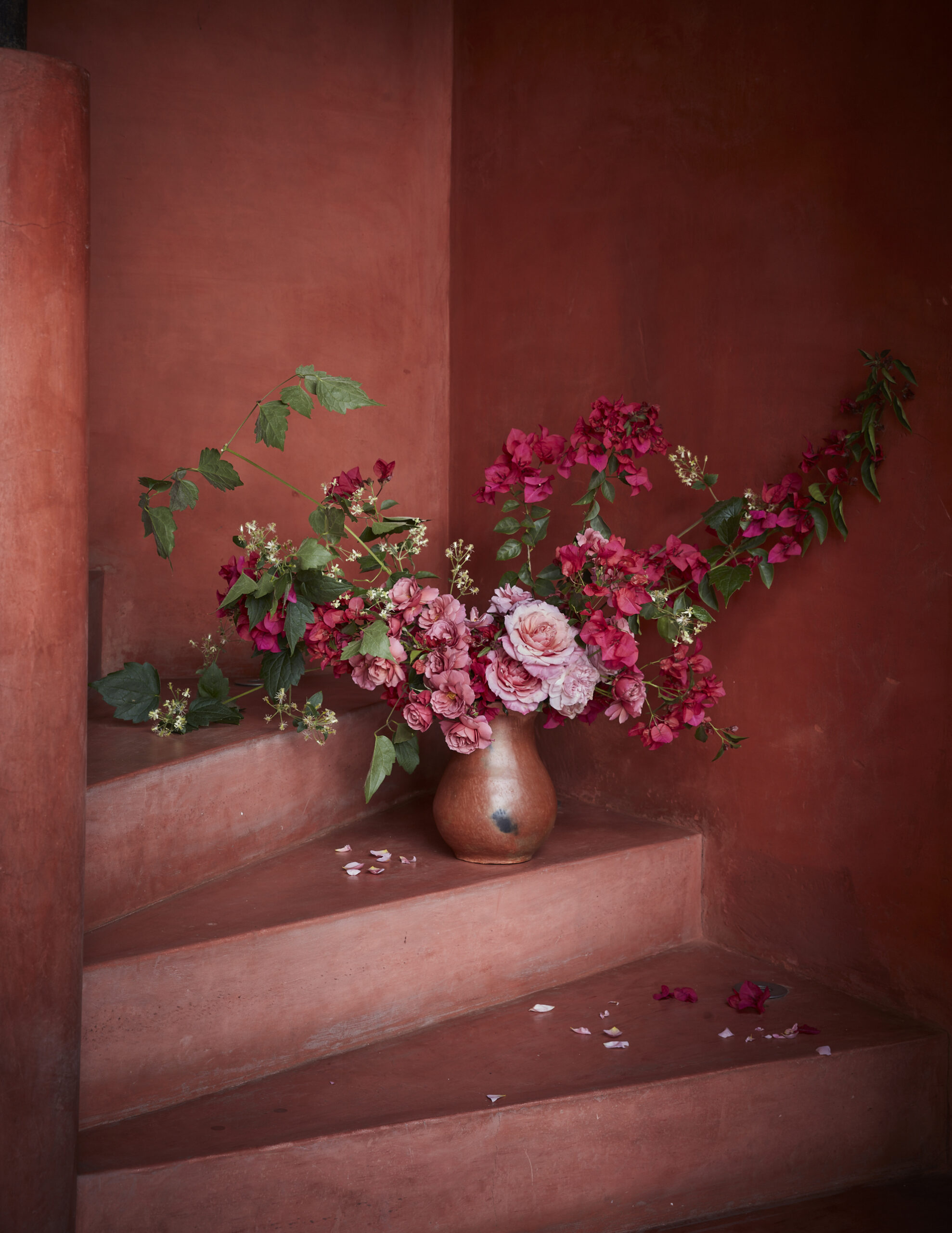 In The Artistry of Flowers, floral designer Gabriela Salazar "teaches us how to look at flowers and understand their characteristics from an artist’s perspective.