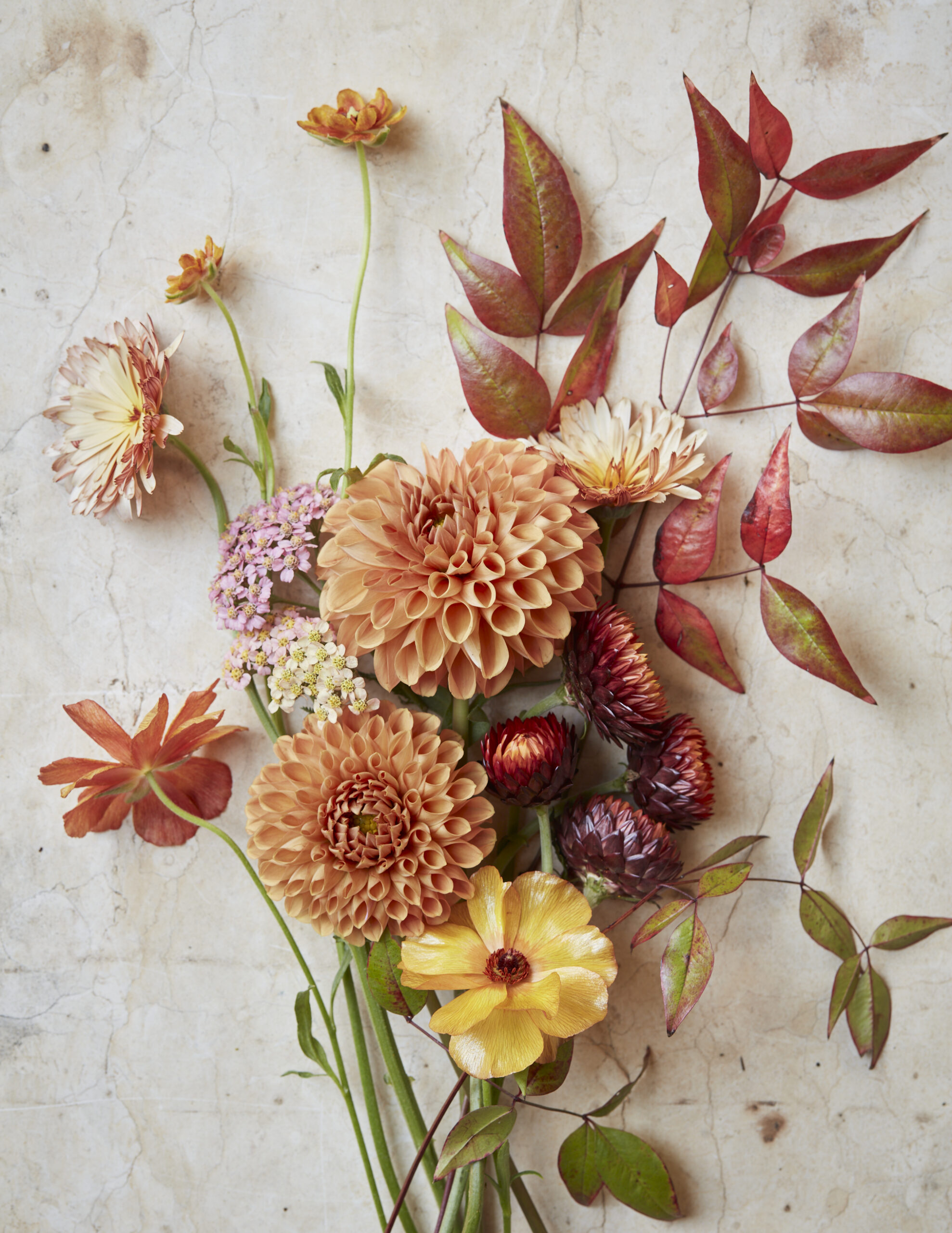 In The Artistry of Flowers, floral designer Gabriela Salazar "teaches us how to look at flowers and understand their characteristics from an artist’s perspective.