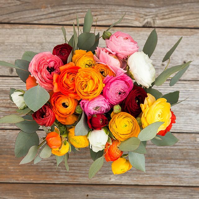 Perfect Mother's Day Gift Ideas - bouqs