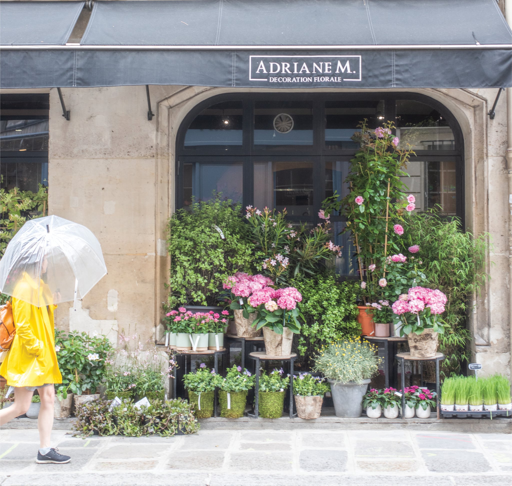 French Blooms: Floral Arrangements Inspired by Paris and Beyond by Sandra Sigman Founder of Les Fleurs - flowers