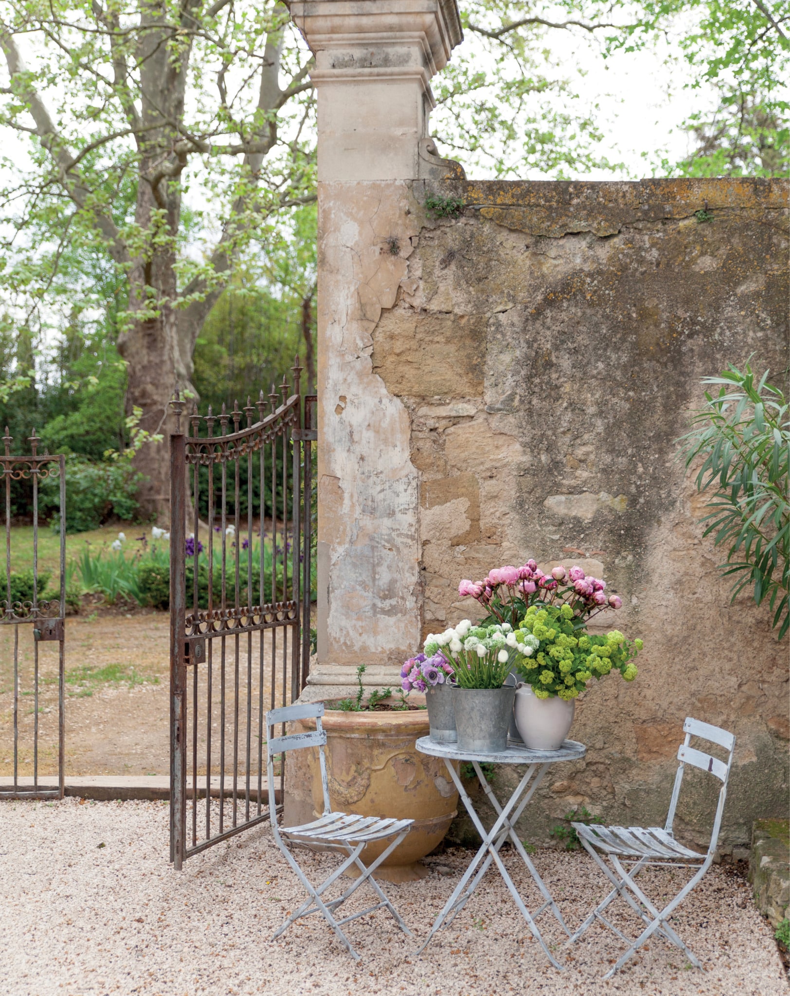 French Blooms: Floral Arrangements Inspired by Paris and Beyond by Sandra Sigman Founder of Les Fleurs