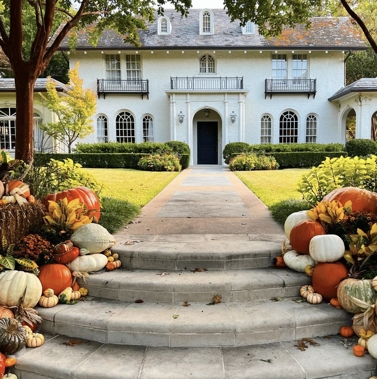 Feeling Fall With the Potted Boxwood