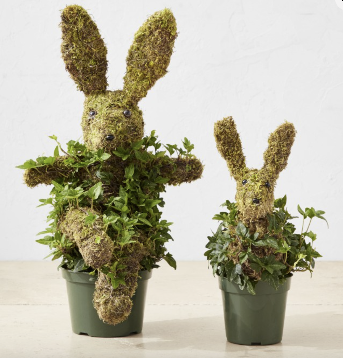 Easter-Ready - williams sonoma